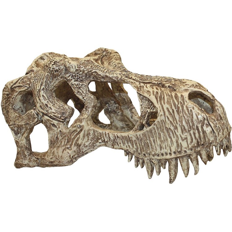 Decor terariu craniu de dinozaur Komodo T-Rex Skull S - imagine 3